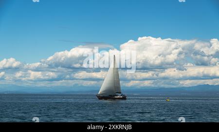 Bateau à voile sur la mer Adriatique, vu de la côte de Piran dans la saison estivale, Slovénie Banque D'Images