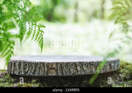 Souche de stand en bois vide dans la mousse avec des feuilles de fougères et des fleurs blanches dans un fond de forêt vert flou naturel extérieur. Contexte pour produit naturel Banque D'Images