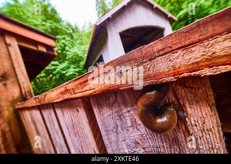 Gros plan sur la porte et le loquet en bois texturé dans la forêt luxuriante Banque D'Images