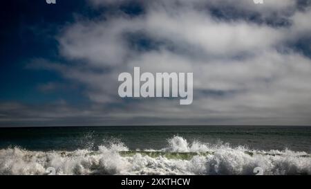 Limontour Beach fait partie du point Reyes National Seashore qui est un comté de Marin sur la côte Pacifique de la Californie du Nord aux États-Unis Banque D'Images