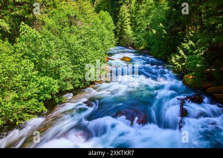 Rivière qui coule à travers la forêt luxuriante dans Idleyld Park Oregon point de vue au niveau des yeux Banque D'Images