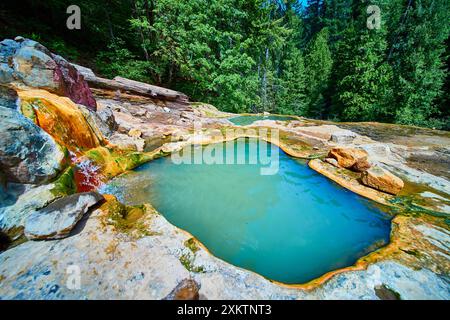 Source thermale géothermique dans la forêt avec vue sur la cascade au niveau des yeux Banque D'Images