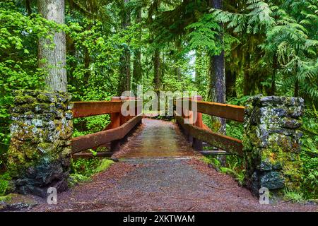 Pont en bois au milieu de la forêt luxuriante sur Rainy Pathway - vue au niveau des yeux Banque D'Images