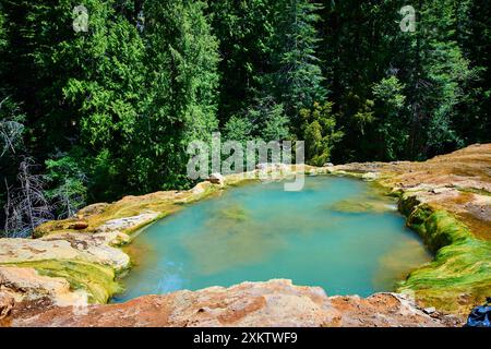 Sources thermales tranquilles d'Umpqua dans la forêt dense vue au niveau des yeux Banque D'Images