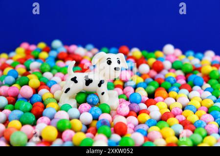 Chien jouant avec des sphères colorées Banque D'Images