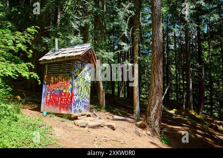 Graffiti couvert structure en bois dans dense Forest Eye Level Banque D'Images