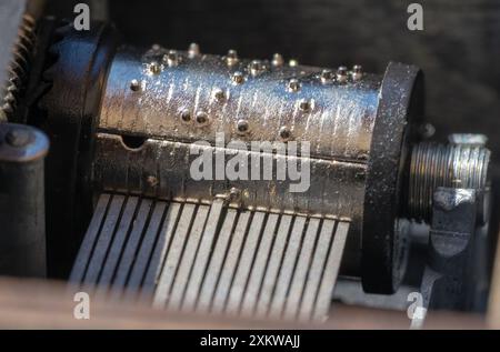 Détail des roseaux et des saillies du tambour rotatif d'une petite boîte à musique Banque D'Images