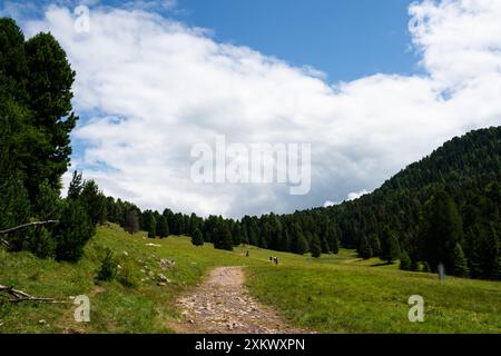 La beauté de la région de lagorai dans les dolomites italiennes Banque D'Images