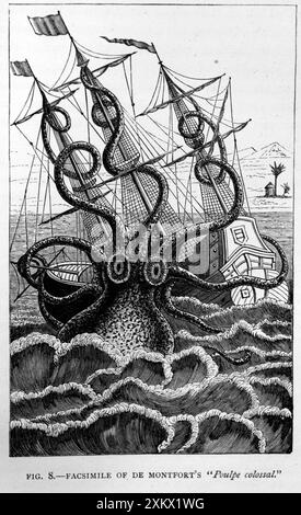 Illustration en noir et blanc : calmar géant - historique Banque D'Images