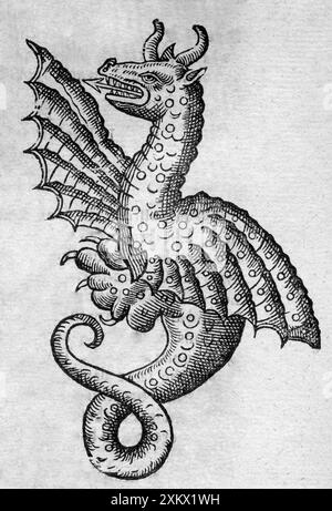 Illustration noir et blanc : Dragon - gravure sur bois Banque D'Images