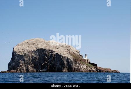 Bass Rock - un bouchon volcanique, un important oiseau de mer historique Banque D'Images