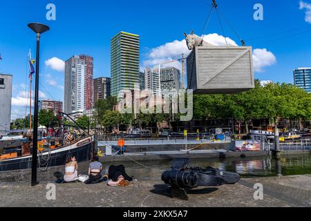 Le Musée maritime, espace extérieur dans le Leuvehaven, à Rotterdam, de nombreux vieux navires, bateaux, expositions du secteur maritime, pays-Bas, Banque D'Images