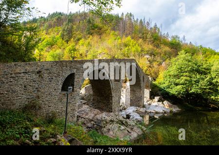 Le pont du diable est un pont à trois arcades au-dessus de la rivière Arda, dans une étroite gorge faisant partie d'un ancien réseau routier, la Bulgarie. Banque D'Images