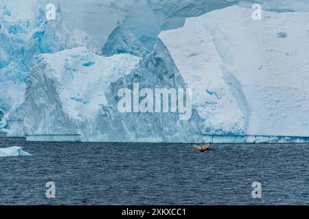 Détail des énormes icebergs et glaciers de la péninsule Antarctique. Image prise près du passage Graham. Une baleine à bosse -Megaptera novaeangliae- plonge au premier plan. Banque D'Images