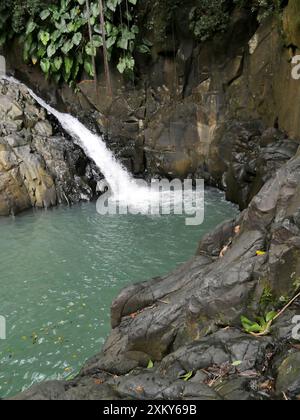 Saut d'acomat, cascade tropicale dans la jungle à basse terre, guadeloupe Banque D'Images