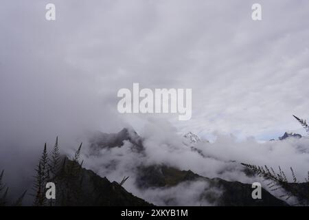 Forêt des nuages, Inka Trail, Cusco, Pérou Banque D'Images