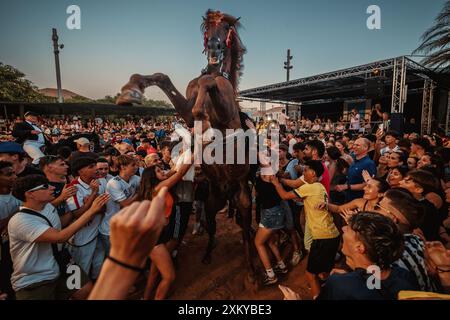 Es Castell, Espagne. 24 juillet 2024. Un 'caixer' (cavalier) monte sur son cheval entouré d'une foule enthousiaste pendant le traditionnel 'Jaleo' au Festival de Sant Jaume à es Castell crédit : Matthias Oesterle/Alamy Live News Banque D'Images