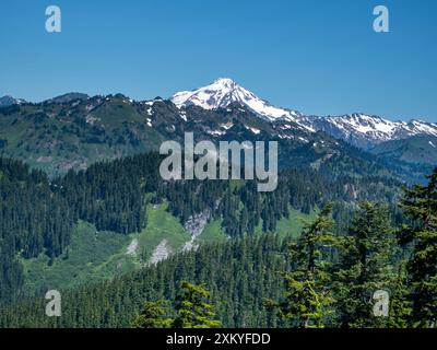 WA25520-00...WASHINGTON - Glacier Peak du Pacific Crest Trail dans la Wilderness Henry M. Jackson, au sud du lac Sally Ann. Banque D'Images