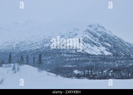 Collines avec des arbres et de la neige soufflant avec des montagnes en arrière-plan sur une froide journée d'hiver près de Castner Cave en Alaska. Banque D'Images