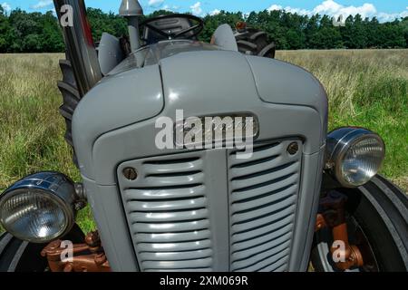 Histori Massey Ferguson FE 35 tracteur, cylindrée , 2502, bhp, 35, année de construction, 1956-1960 Banque D'Images