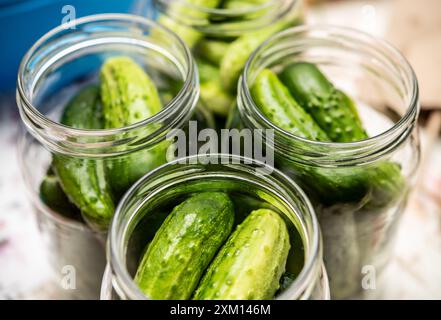 Découvrez l'art de la conservation avec ces concombres marinés verts éclatants stockés dans des bocaux en verre. Idéal pour la photographie culinaire, les blogs de recettes et culinaire Banque D'Images