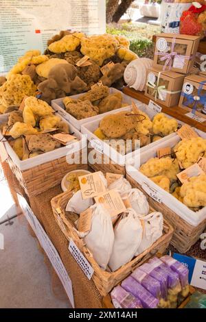 Étal de marché d'éponges de mer / étals vendant des éponges de mer locales aux touristes sur l'affichage sur la promenade suivant Splitska Riva Split, Croatie. Été. (138) Banque D'Images