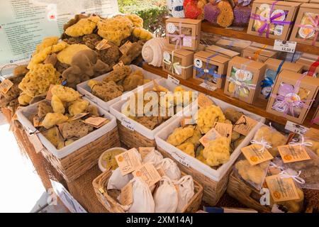 Étal de marché d'éponges de mer / étals vendant des éponges de mer locales aux touristes sur l'affichage sur la promenade suivant Splitska Riva Split, Croatie. Été. (138) Banque D'Images