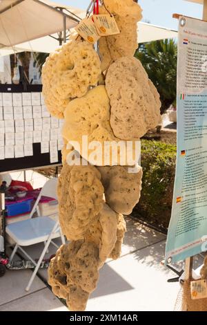 Étal de marché d'éponges de mer / étals vendant des éponges de mer locales aux touristes sur l'affichage sur la promenade suivant Splitska Riva Split, Croatie. Été. (138) Banque D'Images