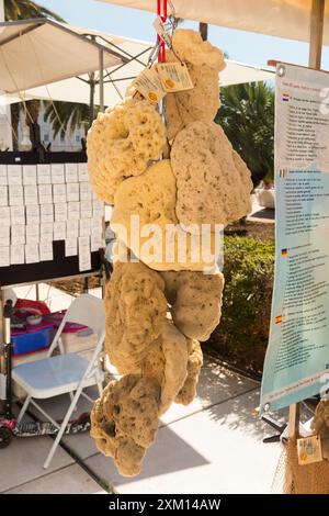 Étal de marché d'éponges de mer / étals vendant des éponges de mer locales aux touristes sur l'affichage sur la promenade suivant Splitska Riva Split, Croatie. Été. (138) Banque D'Images