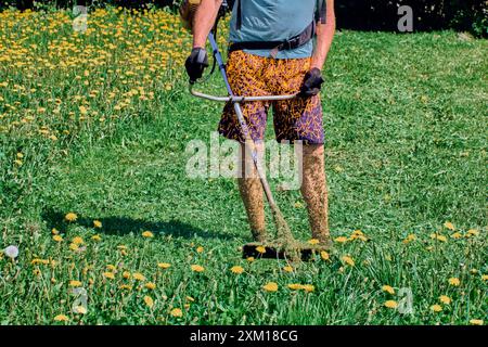 La peau des jambes des paysagistes, non protégée par des vêtements de protection, est recouverte de fragments de mauvaises herbes écrasées. Banque D'Images