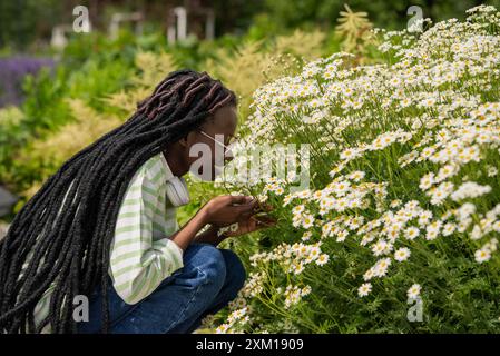 Jeune femme afro-américaine avec des dreadlocks et des lunettes agenouillées pour sentir les marguerites blanches dans le jardin vibrant le jour ensoleillé. La jeune fille aime les arômes de fleurs d'été lumineuses dans le lit de fleurs. Banque D'Images