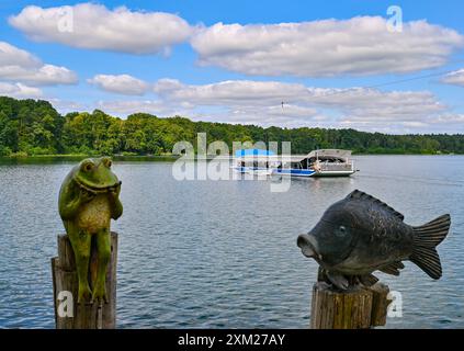 Strausberg, Allemagne. 25 juillet 2024. Un ferry à câble traverse la Straussee. Le transbordeur à câble électrique relie la zone urbaine de l'est à la zone forestière 'Jenseits des Sees' sur la rive ouest depuis 1894. Monument technique, il est depuis devenu une attraction touristique à Strausberg. Le ferry fonctionne toute l'année sous la ligne numéro 39 et est un bon point de départ pour des randonnées à travers la forêt et autour de la Straussee. Crédit : Patrick Pleul/dpa/ZB/dpa/Alamy Live News Banque D'Images