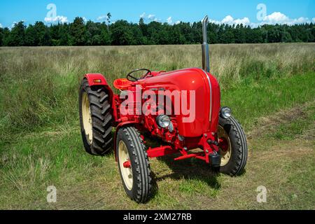 Histori Porsche-Diesel Super Export 329 tracteur, cylindrée , 2625, bhp, 35, année de construction, 1961–1963 Banque D'Images