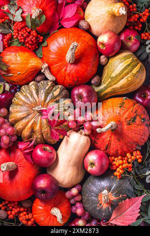 Arrière-plan d'automne avec fruits et légumes de saison, vue du dessus, plat. Joyeux Thanksgiving concept Banque D'Images