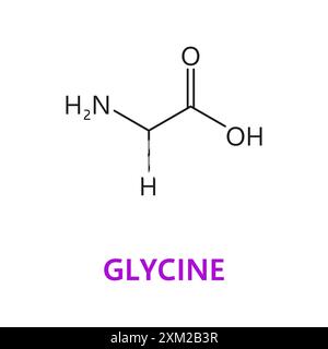Glycine, molécule chimique d'acide aminé et structure de chaîne essentielle, formule moléculaire du vecteur. Formule glycine avec structure de chaîne d'atomes moléculaires de Illustration de Vecteur