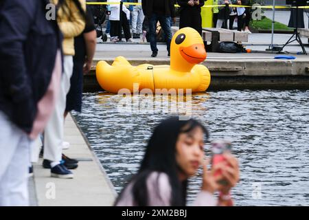 Paddington, Londres, Royaume-Uni. 25 juillet 2024. La Rubber Duck Race 2024 dans le bassin de Paddington, jusqu'à 3 000 canards en caoutchouc courent pour la charité. Credit : Matthew Chattle/Alamy Live News Banque D'Images