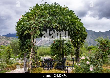 Beau belvédère noir entouré de plantes vertes et de fleurs colorées avec une table et des chaises et un ciel nuageux et des montagnes en arrière-plan Banque D'Images