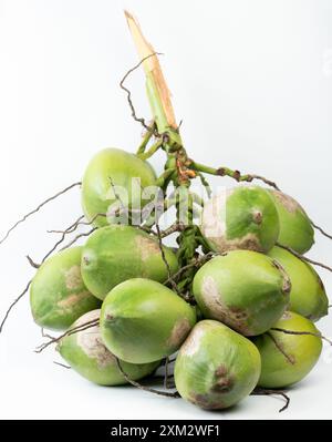 Branche d'arbre de prune verte hachée fraîche avec des noix isolées sur fond blanc de studio Banque D'Images