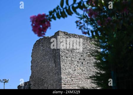 Istanbul. 24 juillet 2024. Cette photo prise le 24 juillet 2024 montre une vue des anciens murs d'Istanbul, T¨¹rkiye. Inscrits sur la liste du patrimoine culturel mondial, les anciens remparts d'Istanbul s'étendent de la mer de Marmara à la Corne d'Or. Crédit : Liu Lei/Xinhua/Alamy Live News Banque D'Images