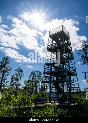 Tour d'observation au bout de la promenade de Grand Bay dans la zone de gestion de la faune de Grand Bay à Valdosta Georgis USA Banque D'Images