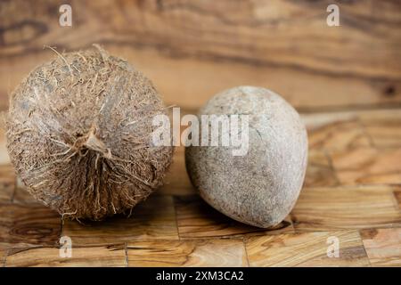 Pulpe séchée de coprah et cordes fabriquées à partir de fibres de la noix de coco Cocos nucifera Banque D'Images