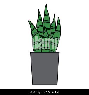 Un pot de fleurs haut gris simple avec plusieurs fleurs Sansevieria Illustration de Vecteur