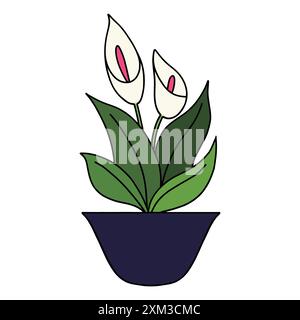 Beau pot de fleurs avec des orchidées blanches orientales avec de grandes feuilles vertes et des étamines roses dans un pot bas de couleur marine Illustration de Vecteur