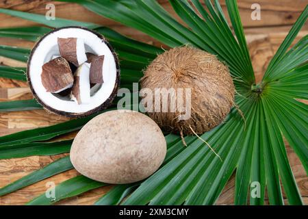 Pulpe séchée de coprah et cordes fabriquées à partir de fibres de la noix de coco Cocos nucifera Banque D'Images