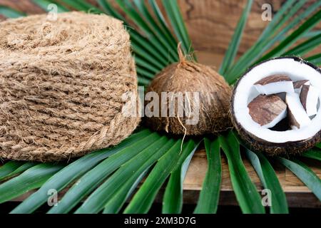 Pulpe séchée de coprah et cordes fabriquées à partir de fibres de la noix de coco Cocos nucifera Banque D'Images