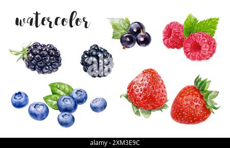 Aquarelle baies illustration fraises, bleuets, mûres, framboises Banque D'Images