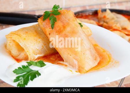 Assiette de rouleaux de chou remplis de boeuf et de légumes, garnis de persil, et servis avec de la crème sure dans une sauce tomate Banque D'Images