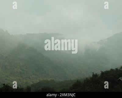 Les montagnes sont couvertes de brouillard et les arbres sont luxuriants et verts. L'atmosphère brumeuse donne à la scène une ambiance sereine et paisible Banque D'Images