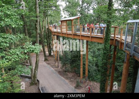 Nuremberg, Allemagne. 21 juillet 2024. Les visiteurs se promènent le long de la passerelle au sommet des arbres dans le zoo. À partir de vendredi, les visiteurs du zoo pourront marcher sur une passerelle en bois de 450 mètres de long et de 2,5 mètres de large à une hauteur pouvant atteindre 20 mètres. La construction du pont, conçue comme un «sentier forestier climatique», permet de découvrir la forêt de manière ludique et est également accessible avec des voitures d'enfants et des fauteuils roulants. Crédit : Daniel Löb/dpa/Alamy Live News Banque D'Images