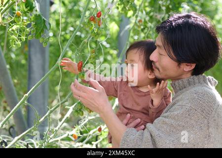 Homme asiatique et enfant dans un jardin contenant des tomates Banque D'Images